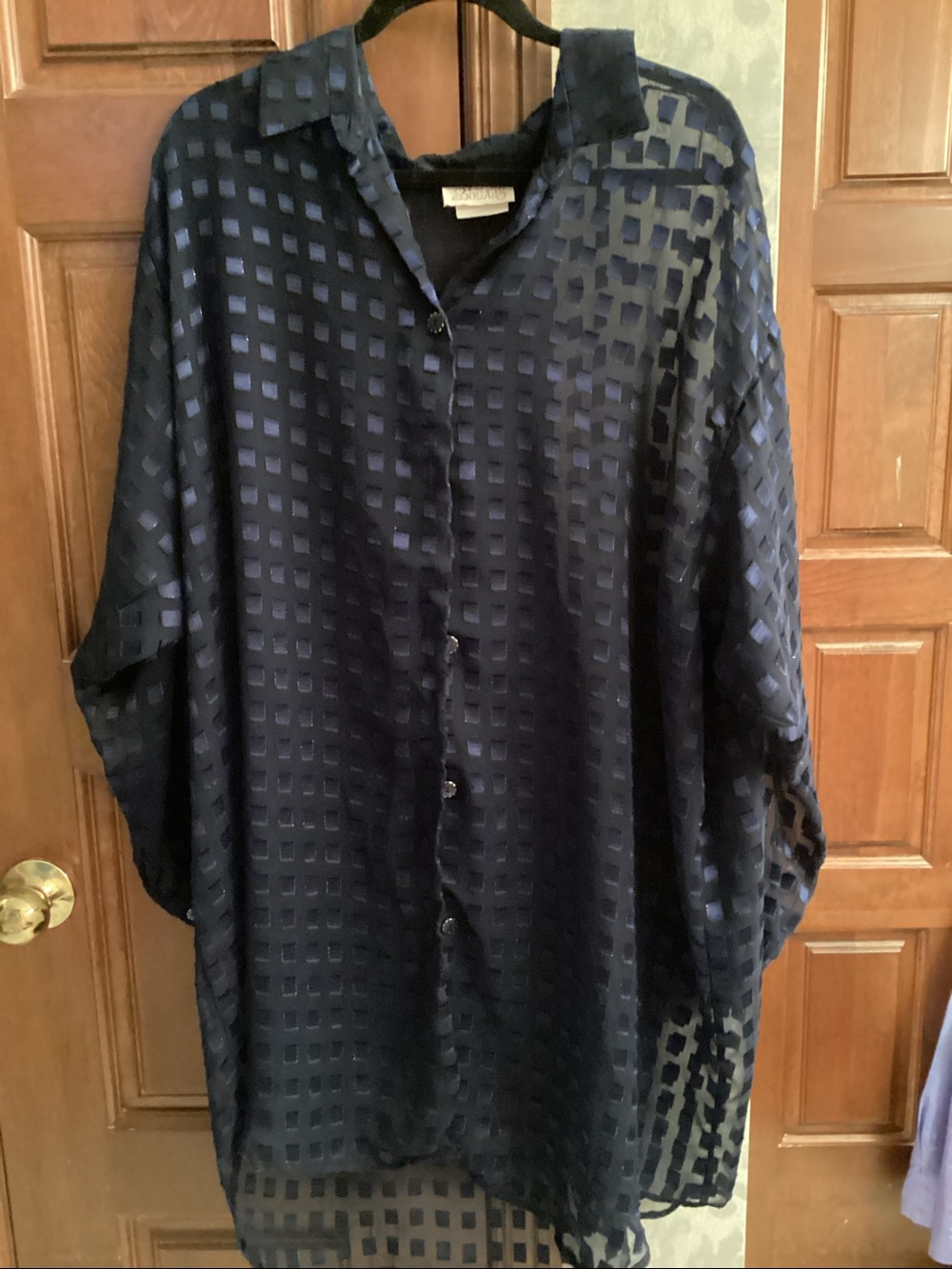 Semi-Sheer Navy Blue Button-Front Blouse